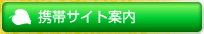 �g�уT�C�g�ē�